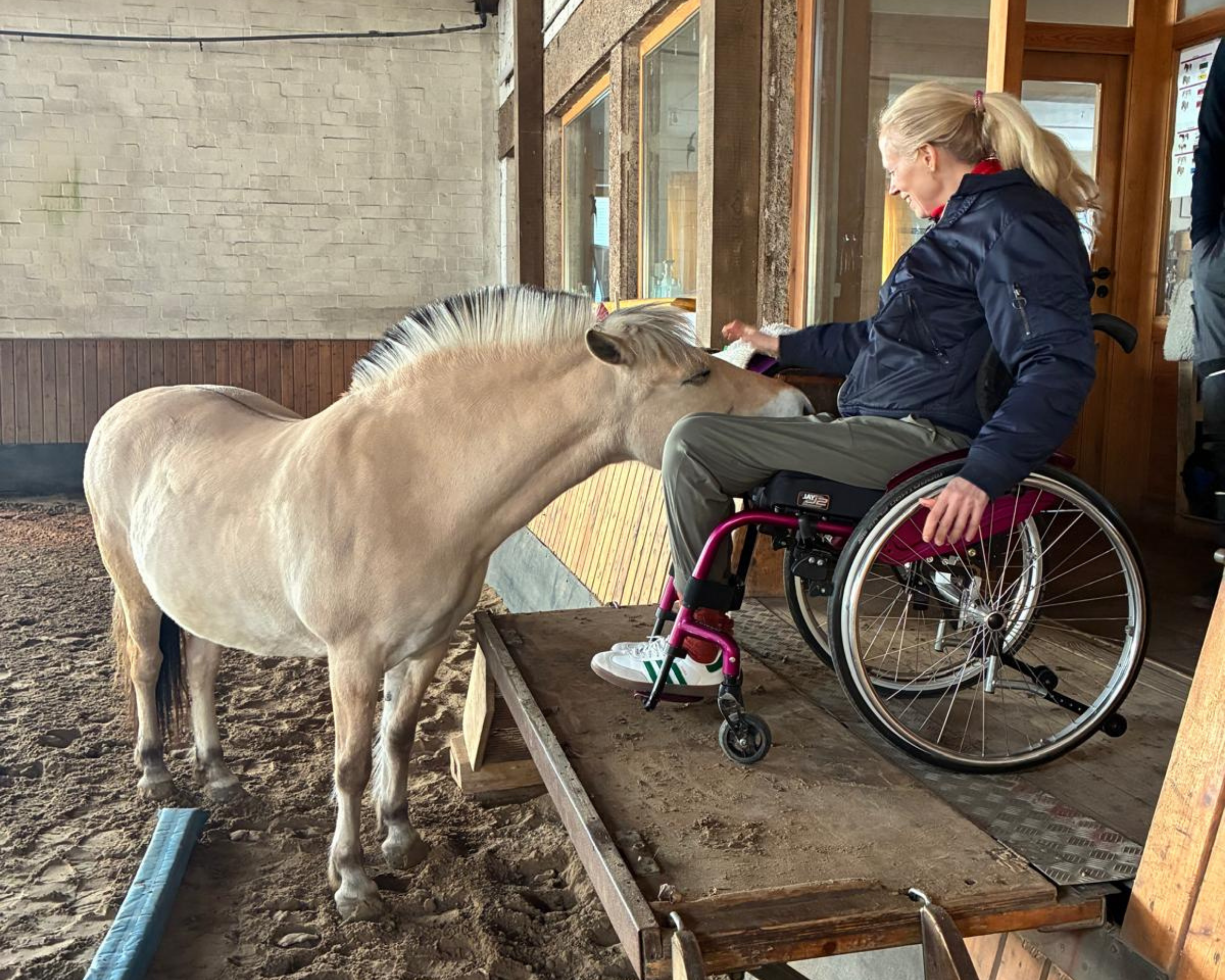 Eine Frau im Rollstuhl streichelt ein Pferd, das den Kopf zu ihr streckt.
